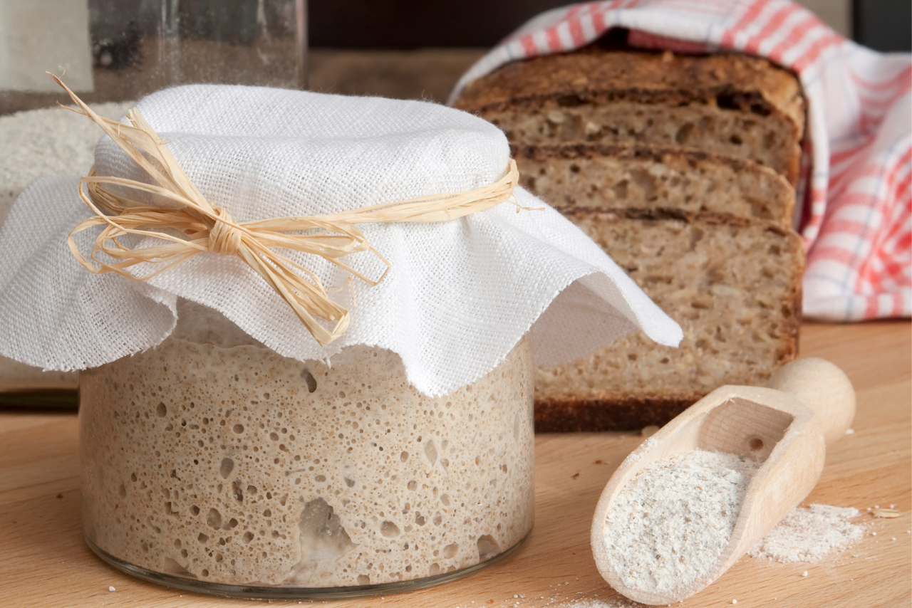 Homemade sourdough starter in a glass jar covered with cloth near fresh baked bread and a wooden scoop filled with flour on a wooden table. Ideal for baking and fermentation content.